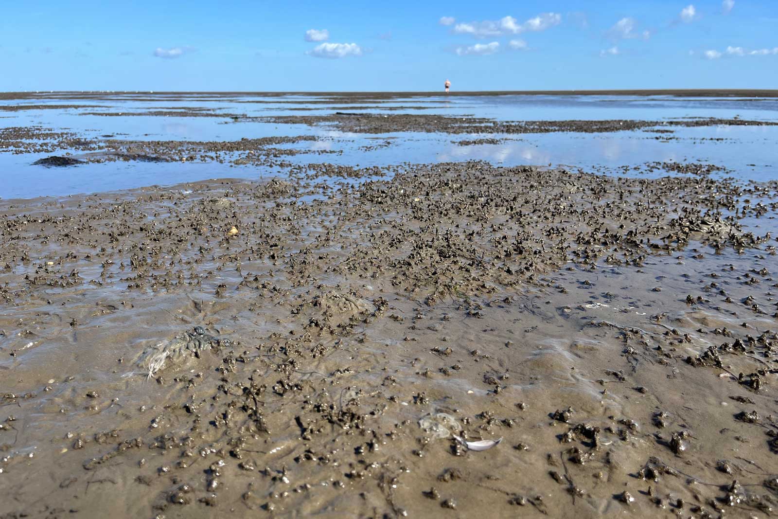 Wattboden bei Ebbe mit Licht und Schatten Wattboden bei Ebbe mit Licht und Schatten