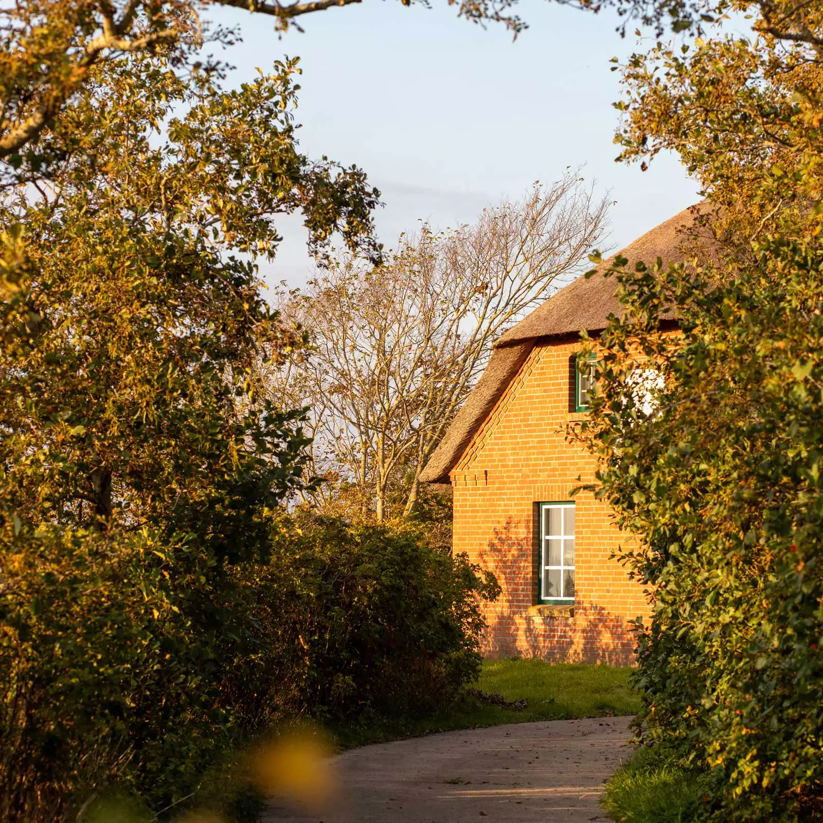 Eingangsblick auf das Ferienhaus Deichschlösschen auf Pellworm mit Bäumen und Hecken