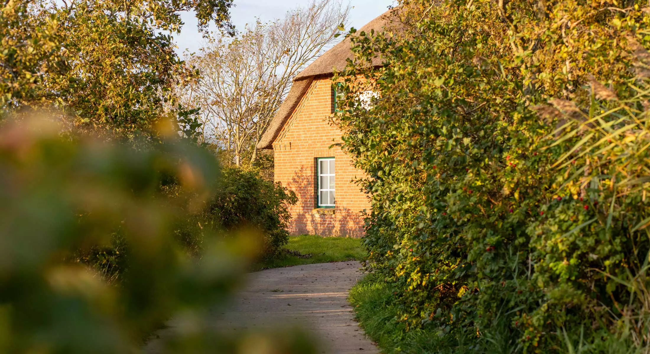 Ankunft am Ferienhaus Deichschlösschen auf Pellworm mit Weg und Reetdach-Ausschnitt