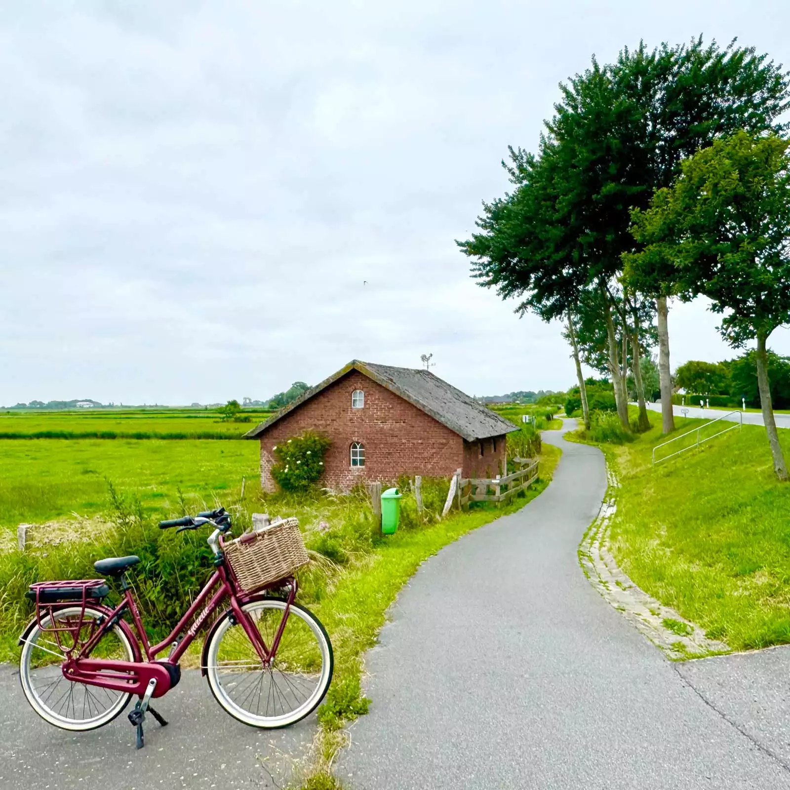 Fahrrad auf dem Weg entlang des Junkersmitteldeichs der Nordseeinsel Pellworm in Richtung Ferienhaus Deichschlösschen