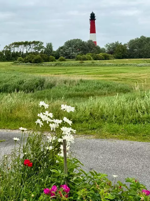 Blick über grüne Wiesen mit Blüten zum Leuchtturm auf Pellworm