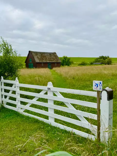 Grüne Wiese nahe Leuchtturm auf Pellworm mit Hofgatter, Schuppen und Blick zum Deich