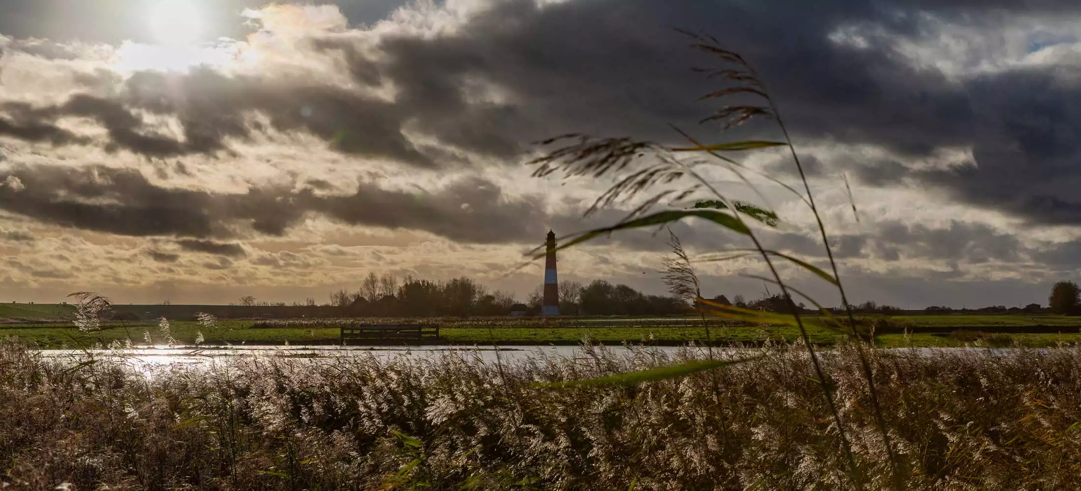 Herbstliche Stimmung auf Pellworm mit Gräsern im Wind und Leuchtturm im Abendlicht