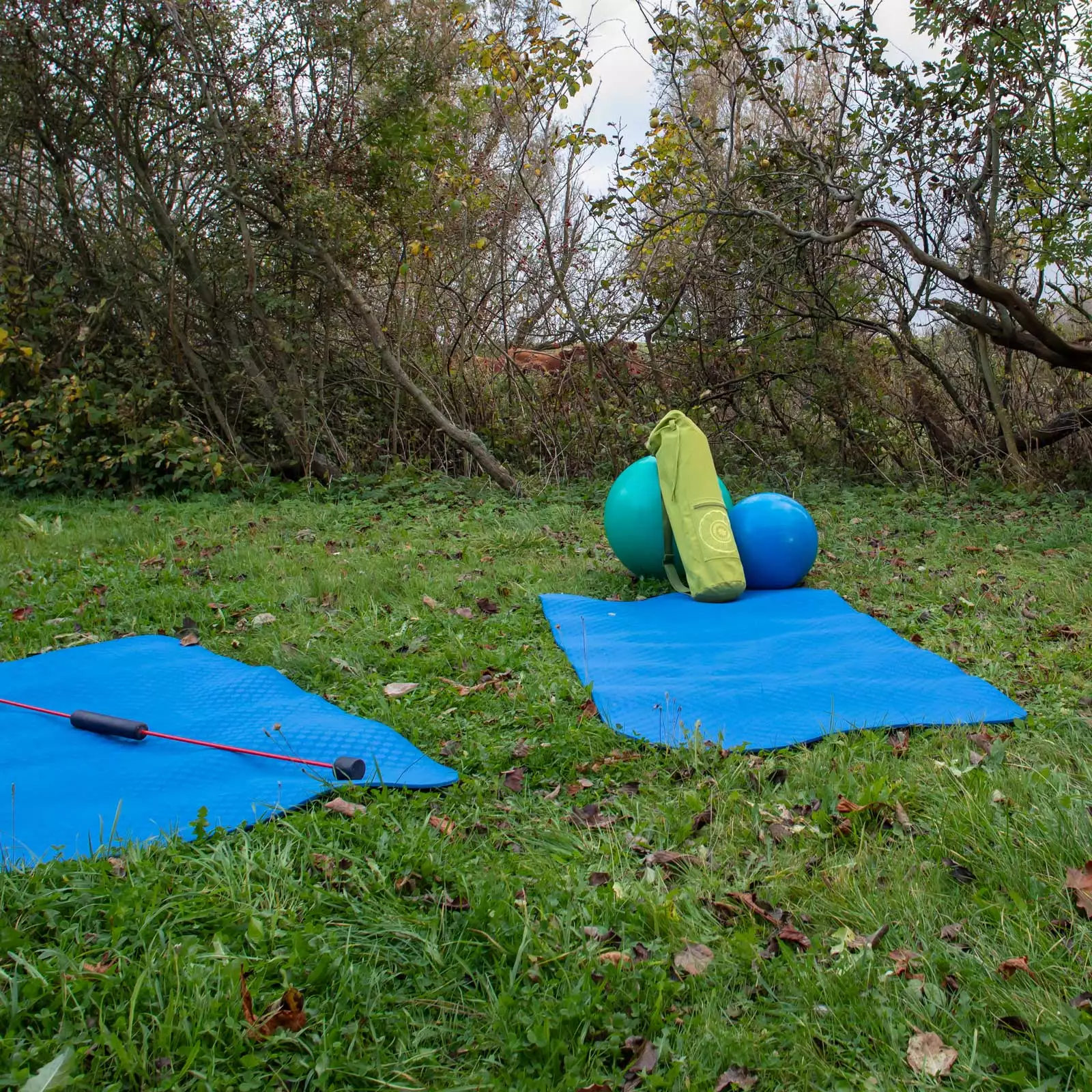 Garten des Deichschlösschens mit zwei Yoga-Matten, Gymnastikbällen und Zubehör