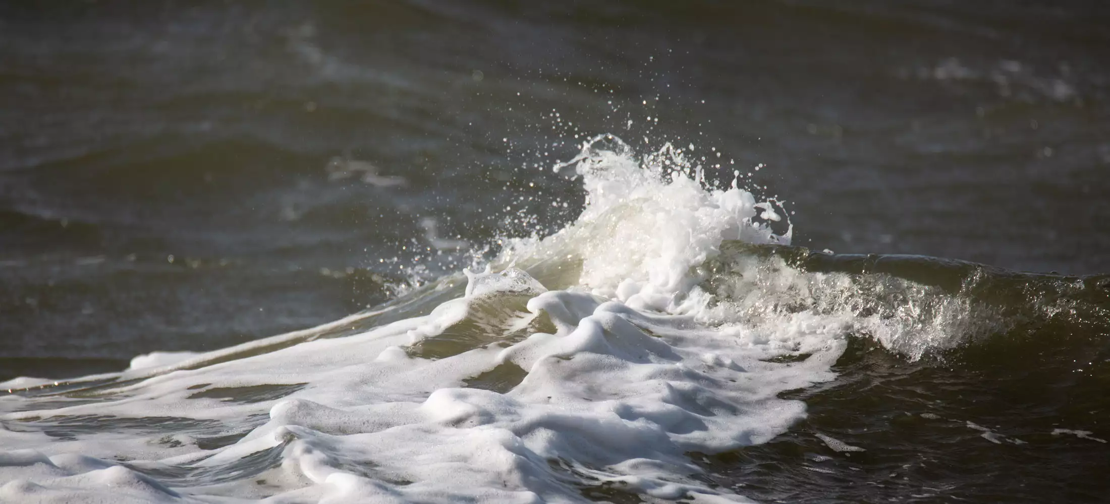 Detailaufnahme einer brechenden Nordsee-Welle auf Pellworm