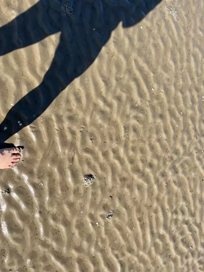 Wattboden auf Pellworm mit Spiegelung des Schatten eines Wattwanderers