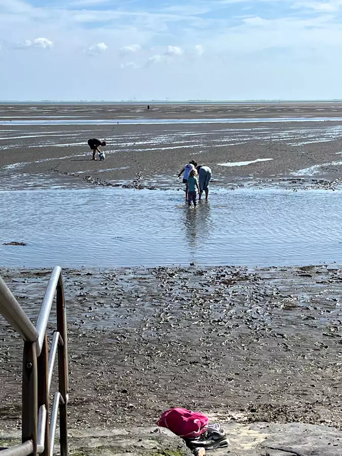 Familie beim Überqueren eines kleinen Priels während einer Wattwanderung auf Pellworm