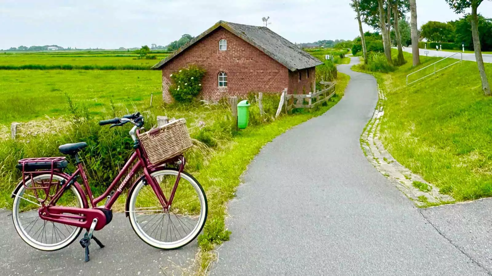 Hier steht das Fahrrad am Radweg geparkt, inmitten grüner Landschaft