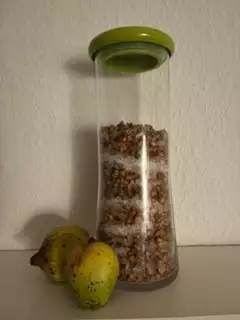 Quittenlikör mit Kandis und Korn im Glas – traditionell angesetzt auf Pellworm