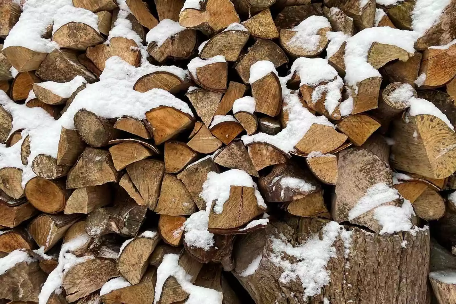 Gestapeltes Kaminholz im Schnee vor dem Ferienhaus auf Pellworm – bereit für gemütliche Winterabende