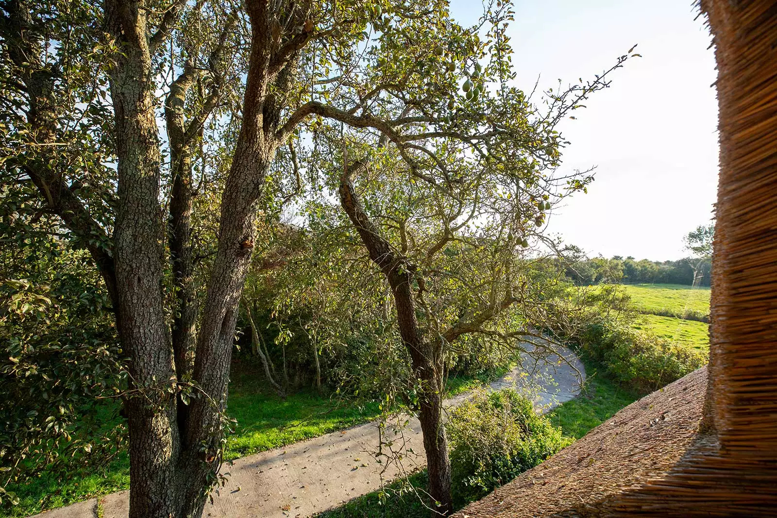 Blick aus der Dachgaube des Deichschlösschens auf Garten und Weg zum Haus