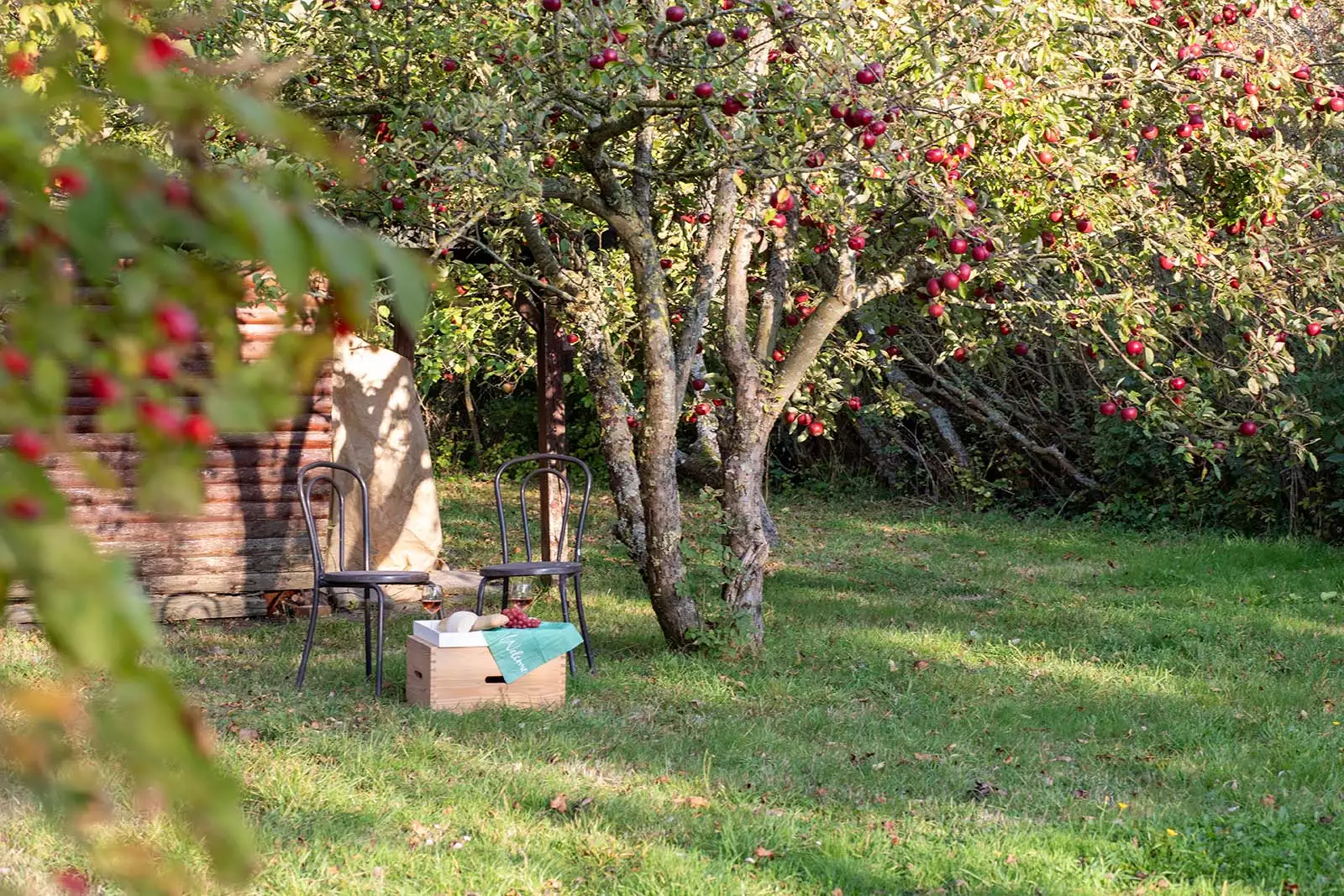 Gartenbereich des Deichschlösschens unter Apfelbaum mit Stühlen, Wein, Käse und Baguette
