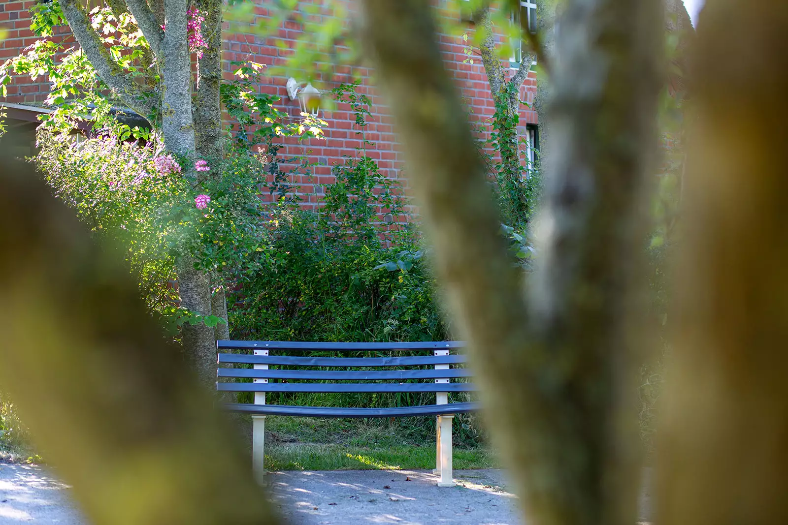 Holzbank im Garten des Deichschlösschens zwischen Baumästen