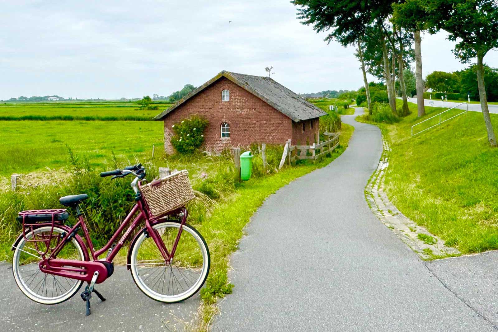 Mit dem Fahrrad den Fahrradweg auf Pellworm entlang und außen- wie Innendeichs die Nordseeinsel erkunden