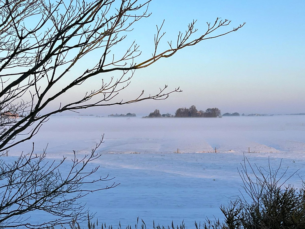 Pellworm - grüne Insel im Winter in besonderem Licht